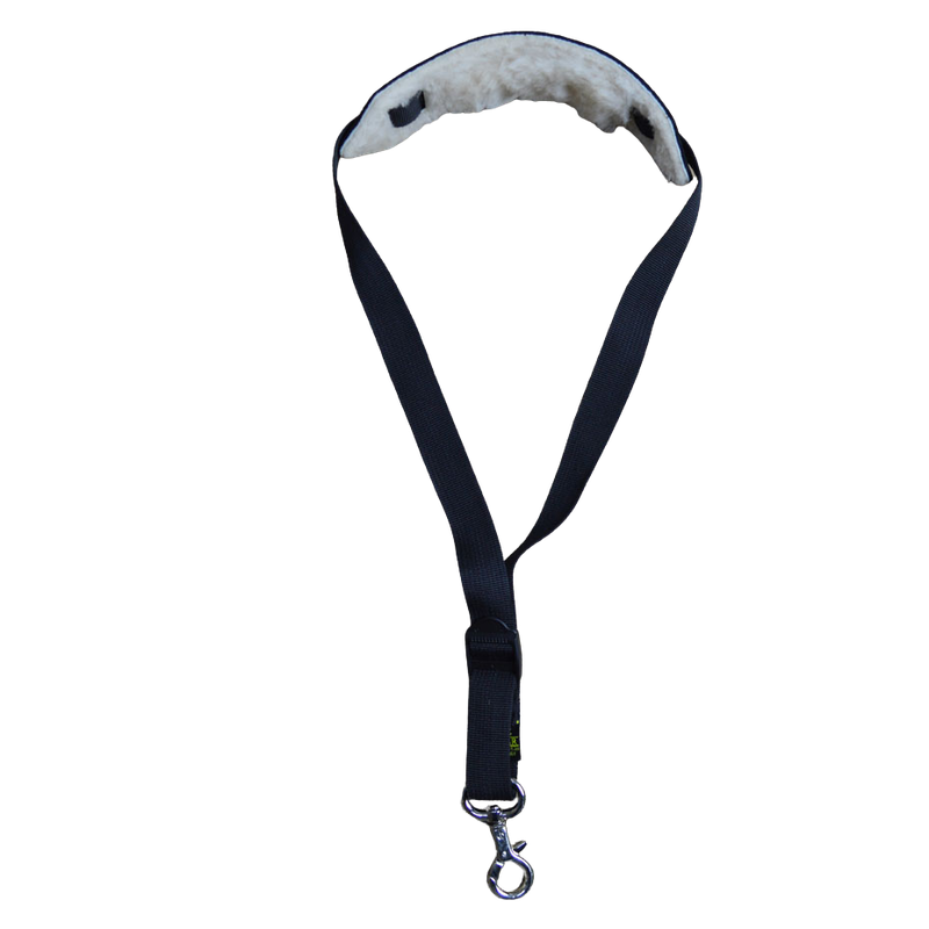 Saxophone Strap