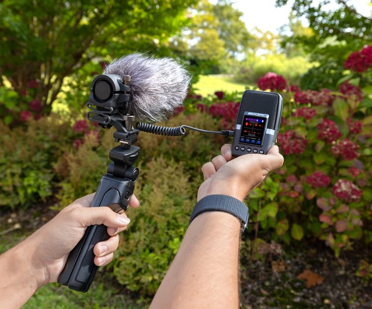 H2 essential Multi-Mic Handy Recorder