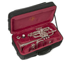 JP257SW Trumpet D+Eb