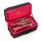 JP8171 Bb Cornet Case