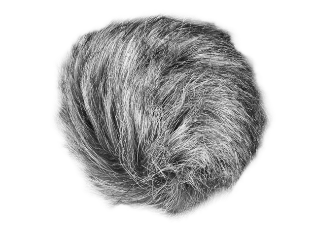 WSU-1 Universal Windscreen