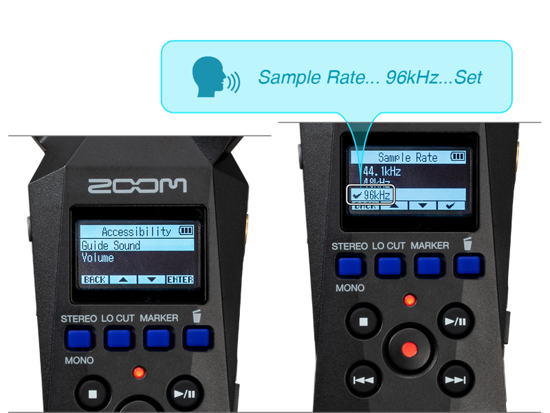 H1 essential Handy Recorder